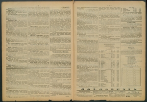 gazeta radomska-1885-22-00002